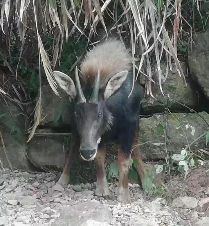 评论 第880页