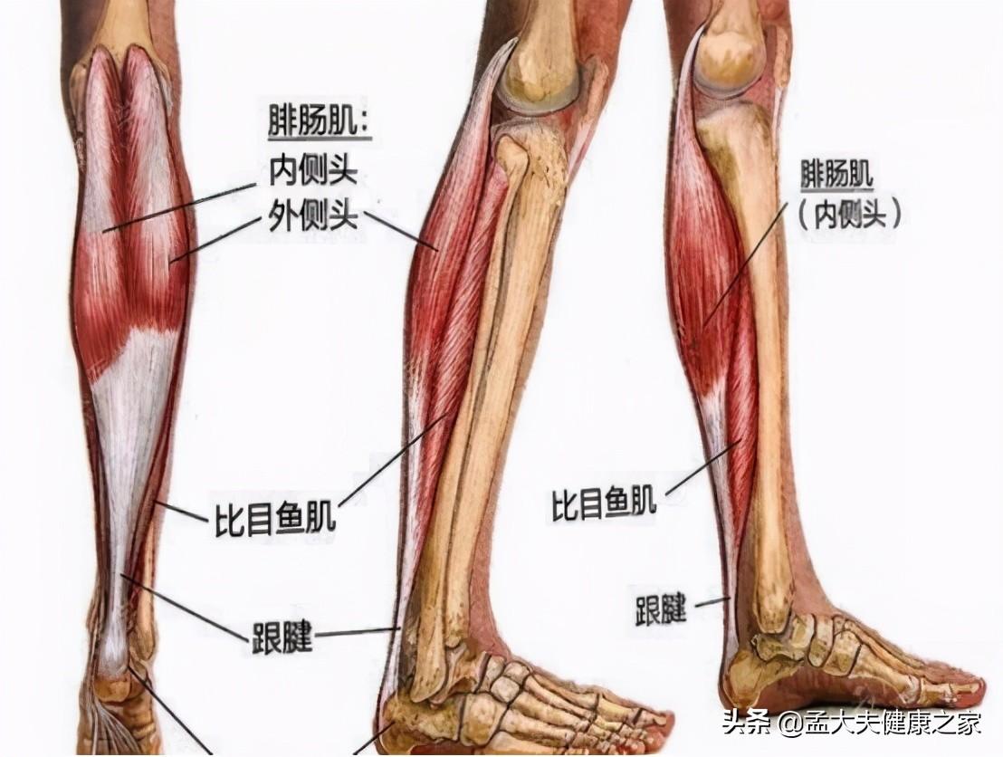 四个月的宝宝腿弯现象，原因、影响与应对措施