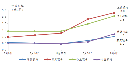 广东省鸡苗批发市场概况与发展趋势