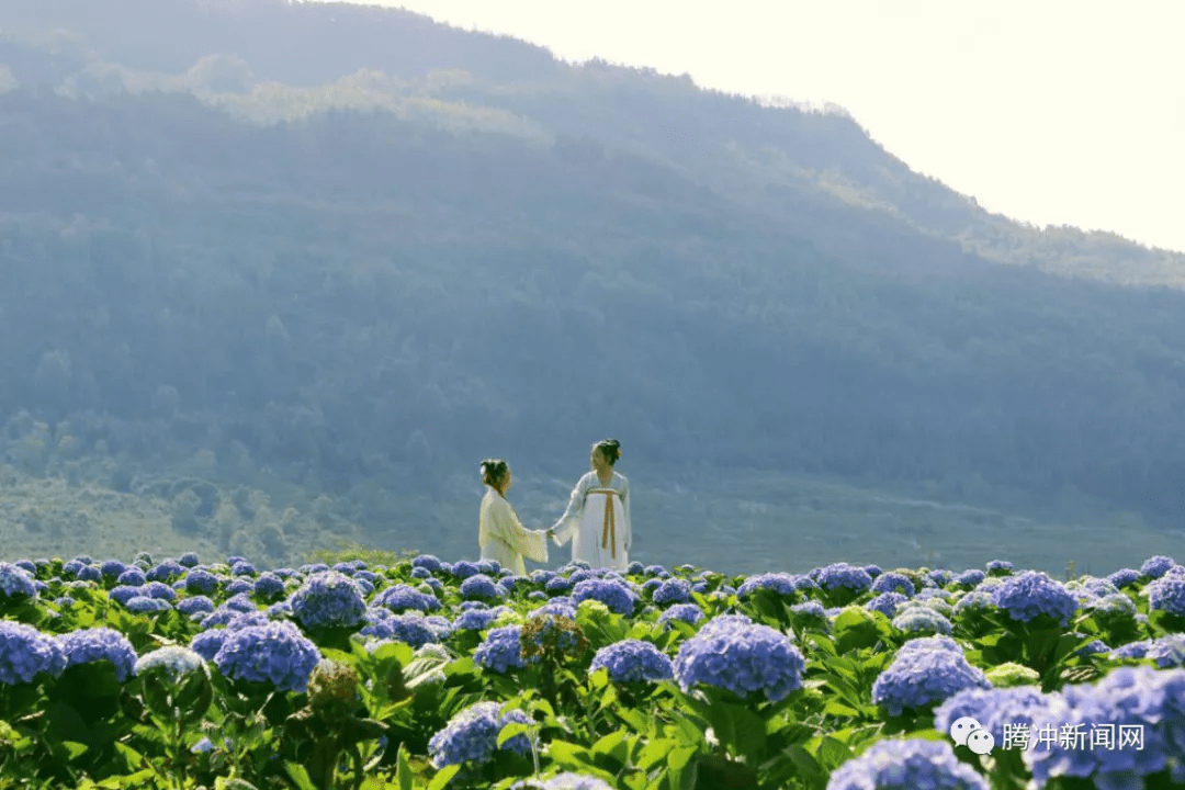 广东省周边游，春天的诗意与远方