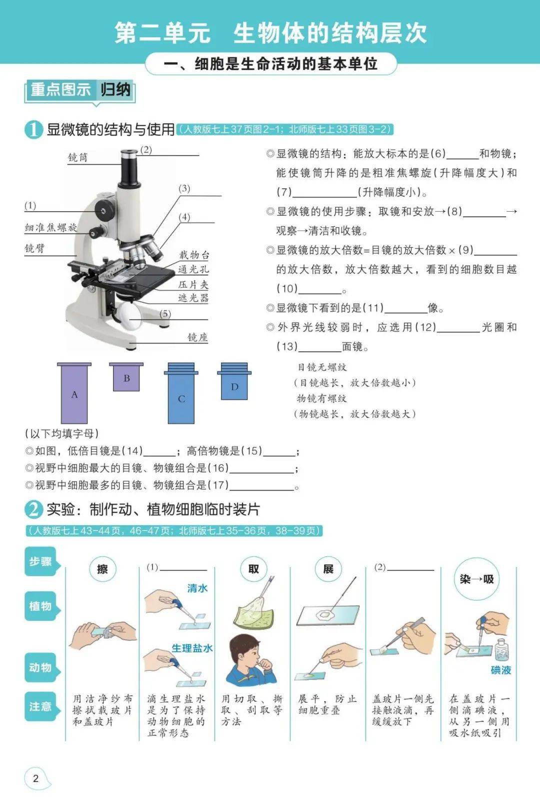 广东省生物中考解读视频，深入理解考试内容与备考策略