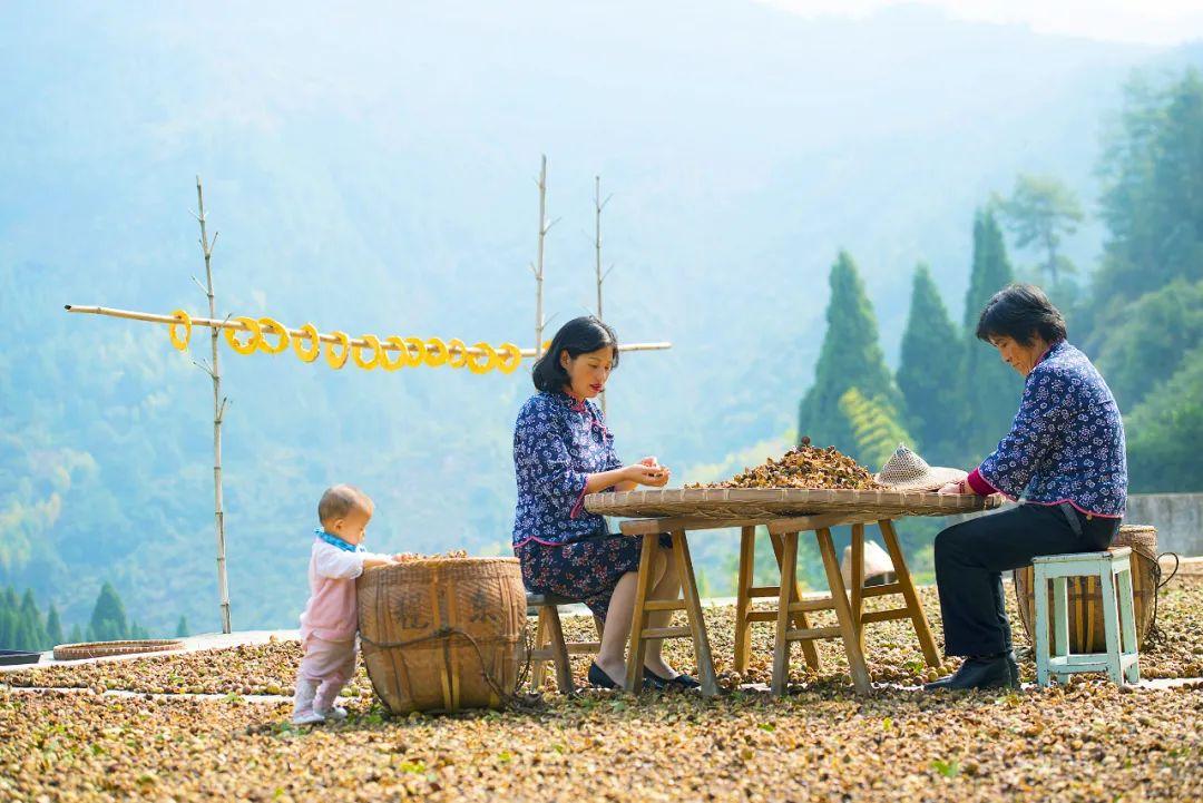 广州芳村房产，历史底蕴与现代魅力的融合之地