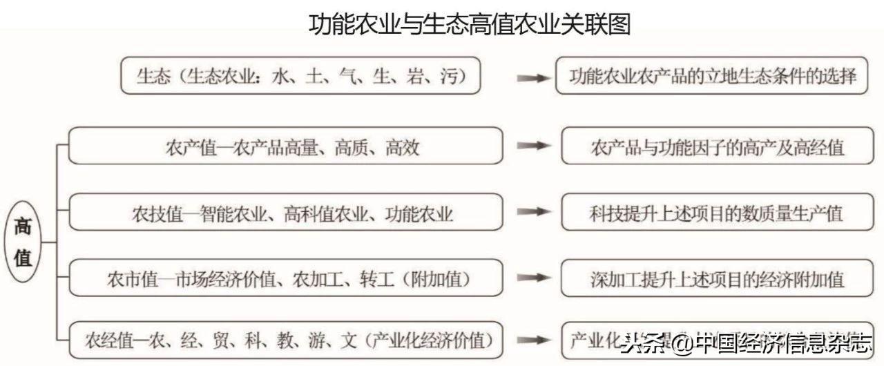 江苏硒谷科技有限公司，引领科技与未来